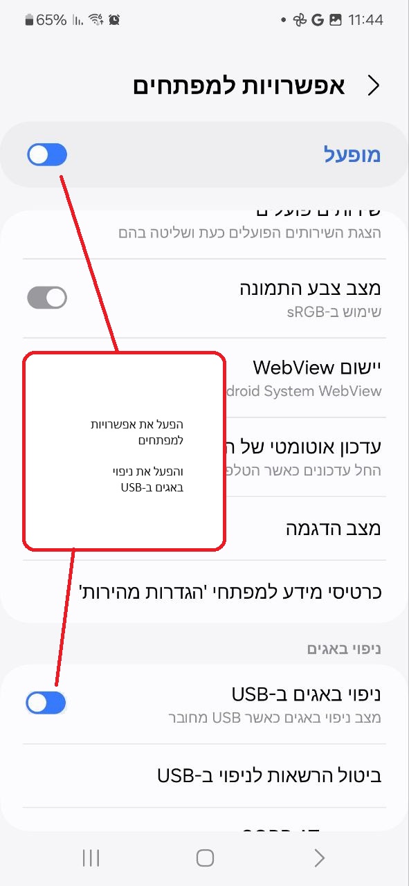 תמונה 6