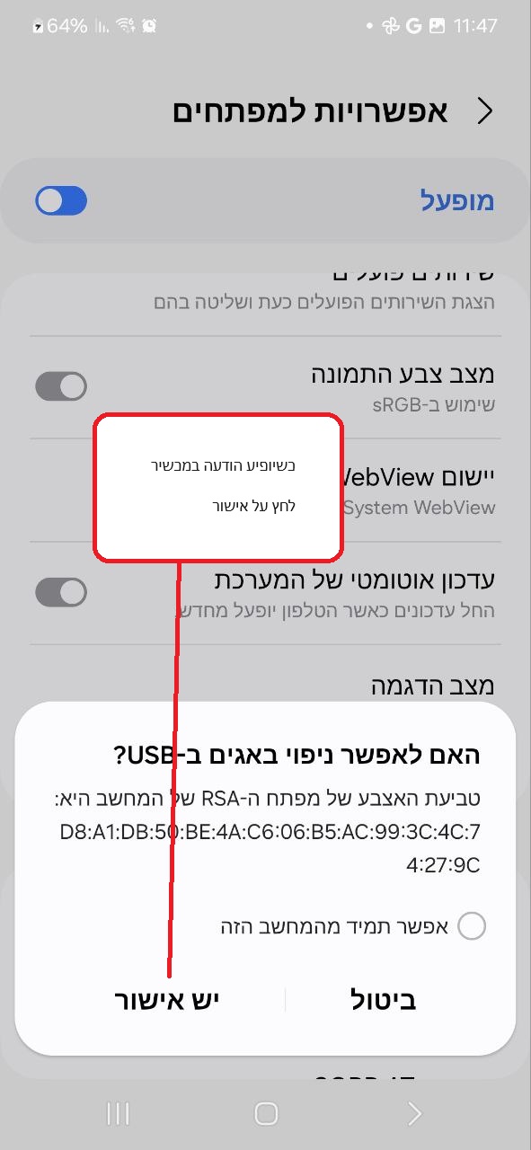 תמונה 7