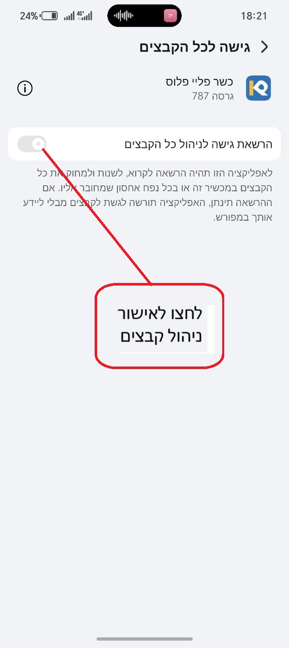 תמונה 3